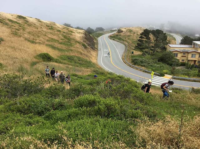 Photo illustrating Grit